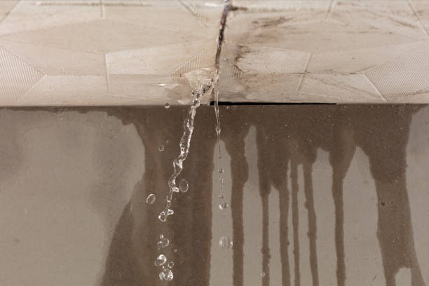 Professional Sewage Cleanup technician working in Eagle, ID
